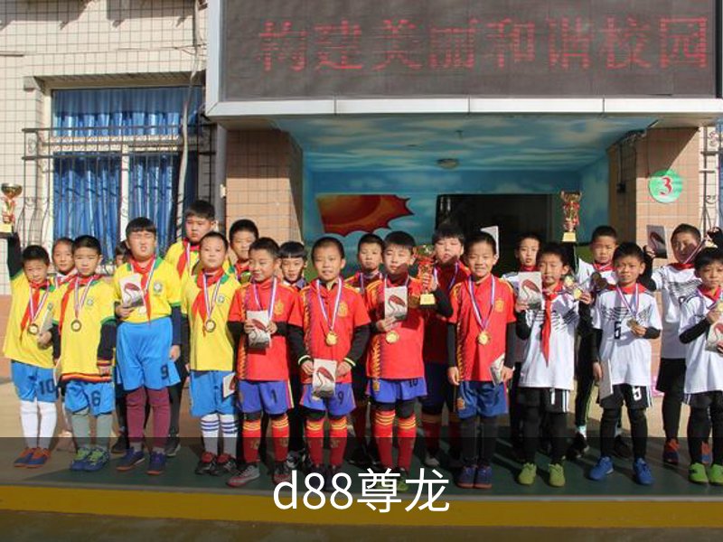 了解d88尊龙